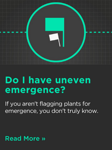 Do I have uneven emergence