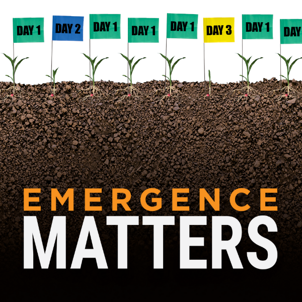Emergence Matters