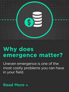 Why does emergence matter