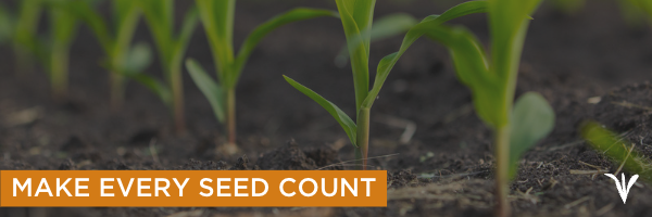 Make Every Seed Count