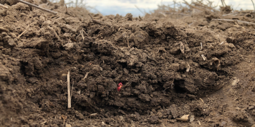 furrow